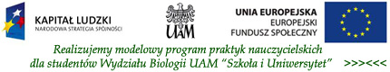 przysisk z napisem kapitał ludzki logiem uam poznań i flagą Unii Europejskiej