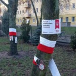 Akcja ubierania drzew