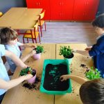 Czwórka małych dzieci zgromadziła się wokół stołu, sadząc rośliny w kolorowych doniczkach. Na stole rozrzucona jest ziemia, a na środku zielona taca wypełniona ziemią. W tle widać czerwone szafki i drewniane meble.