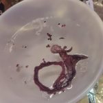 Biała miska z rozciętą kałamarnicą w wodzie na złotej folii; w tle widoczne są dłonie.