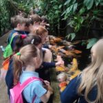 Dzieci w mundurkach karmią pomarańczowe ryby koi w małym stawie otoczonym bujną zielenią.