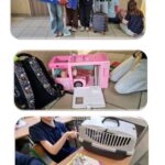 Dzieci z zabawkami i walizkami, różowa zabawkowa kuchnia i transporter dla zwierząt na szkolnym biurku.