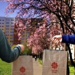 Dwie osoby wymieniają się papierowymi torbami Caritas Poznań na ścieżce wysadzanej kwitnącymi na różowo drzewami i budynkami.