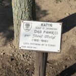Tablica przy drzewie upamiętniającym Józefa Motyla (1912-1940) i zbrodnię katyńską w Poznaniu, Polska.